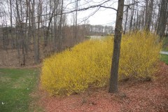 DSCN2984