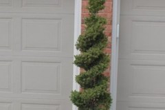 Plant Good, Spiral in pot