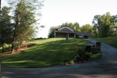 7-11-11 Doe, trees, (252)