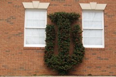 Not Designed by Englewood, We Just Like It