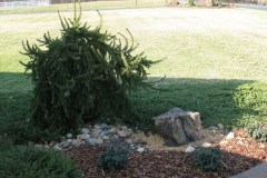 Good Plants (10)