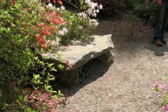 Timber Edge (25)