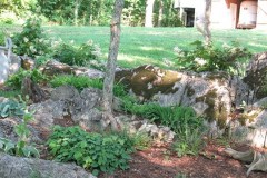 7-11-11 Doe, trees, (187)