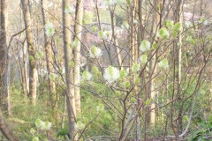 DSCN0874