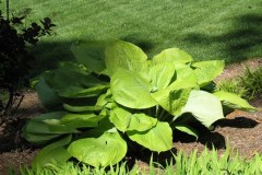 MISC MOVE 5-15-11 611