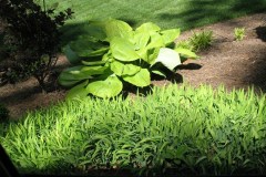 MISC MOVE 5-15-11 612