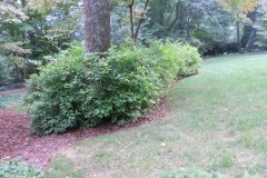 MISC. Summer 2013 1169