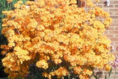 DSCN1074