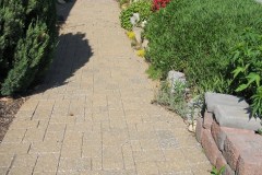 DSCN3707