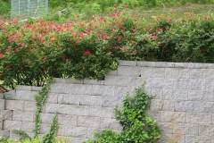 MISC MOVE 5-15-11 544