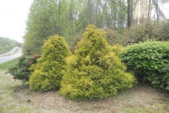 DSCN1144