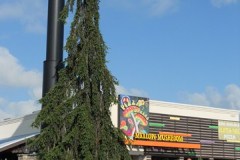 DSCN1528