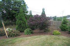 DSCN1665