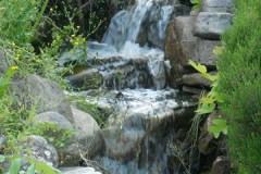 DSCN1392