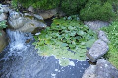 DSCN1394
