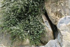 MISC MOVE 5-15-11 504