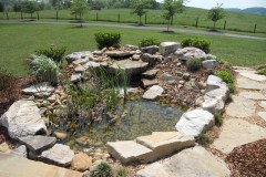 Pondless Bog