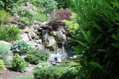 Secret Garden