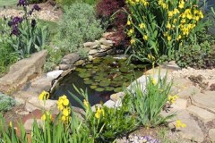 Wintons Farm First Pond