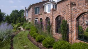 Yard Maintenance