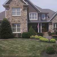 make your yard the colorful