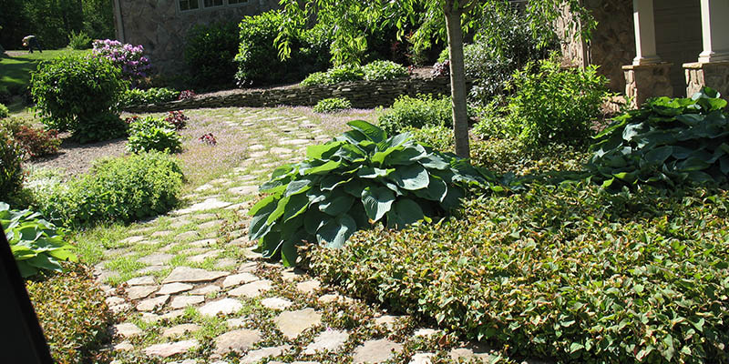 Landscaping in Kingsport, TN