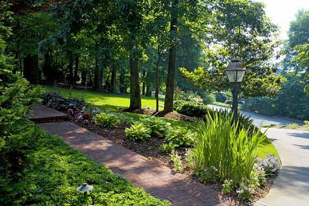 Garden Maintenance