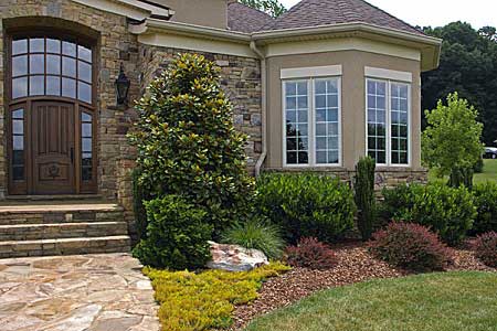Lawn Maintenance