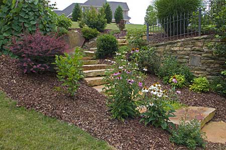 Mulching for Weed Control