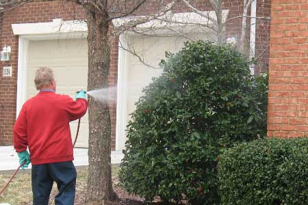 Outdoor Pest Control