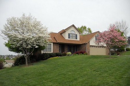 Yard Maintenance in Johnson City, Tennessee