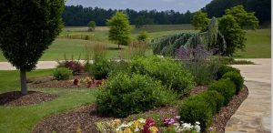 Garden Maintenance in Kingsport, Tennessee