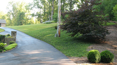 Weed Control in Kingsport, Tennessee