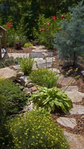 Backyard Landscaping