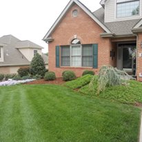 Crab Grass Control in Kingsport, Tennesse
