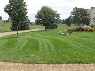 Lawn Overseeding in Kingsport, Tennesse