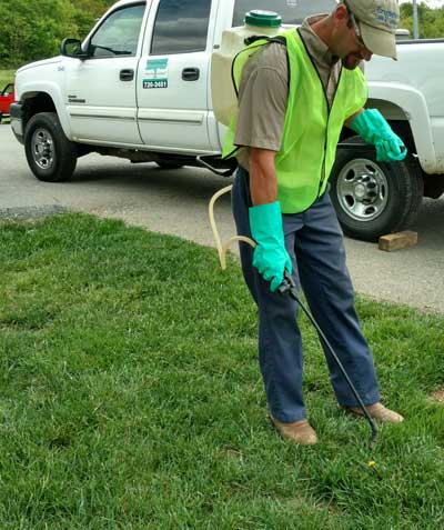 Brown Patches in Lawn in Kingsport, Tennesse