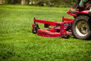 Lawn Maintenance