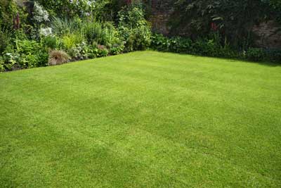 Crab Grass Control