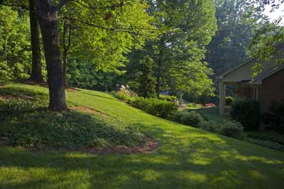Lawn Care in Johnson City, Tennessee
