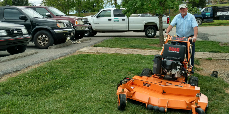 Tree and Shrub Trimming