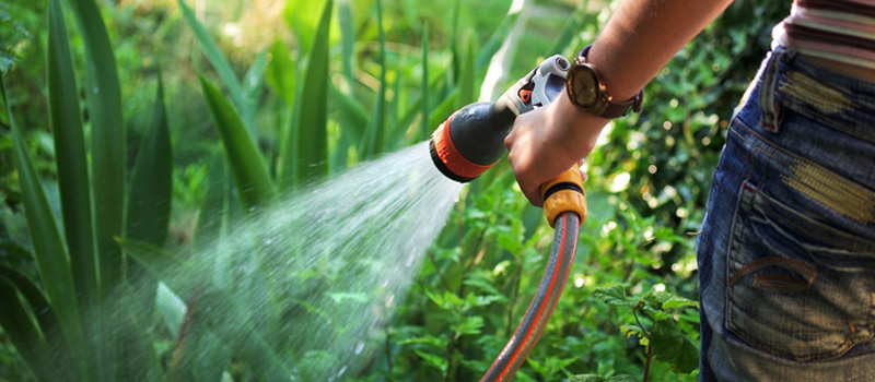 Garden Maintenance in Bristol, TN