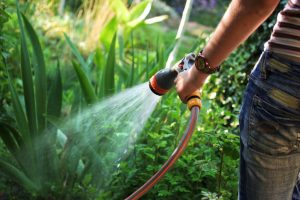 Lawn Irrigation