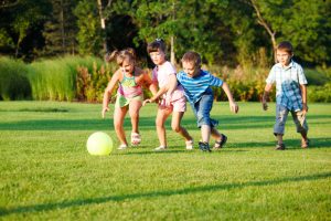 Lawn Aeration