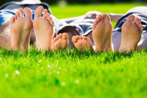 Lawn Overseeding
