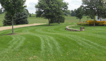 Lawn Overseeding in Bristol, TN