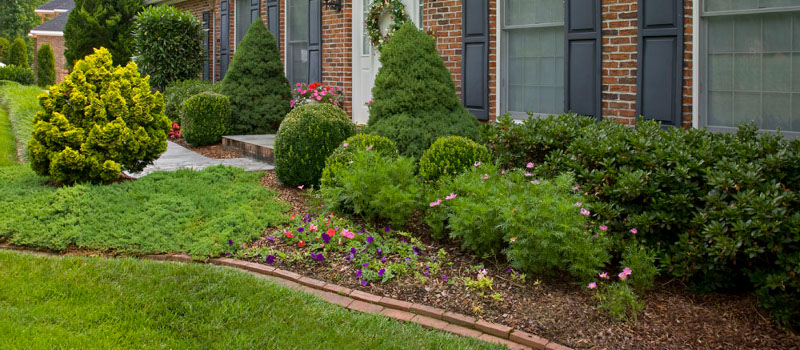 Landscaper in Bristol, Tennessee