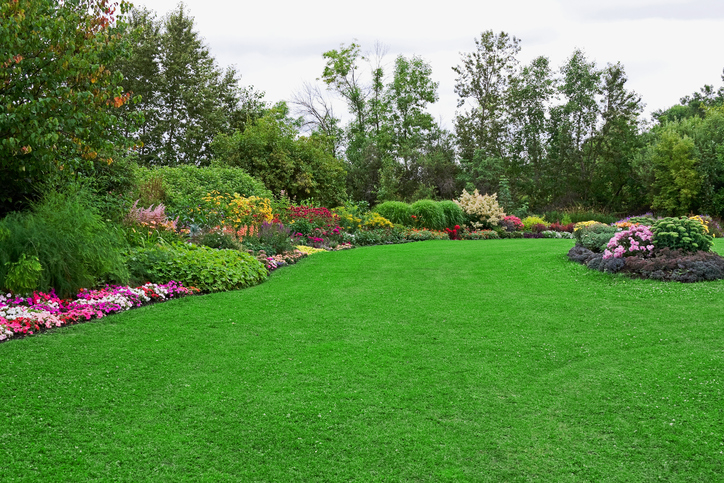 Landscape Design: Fall in Love with Nature