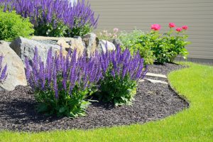 garden landscaping